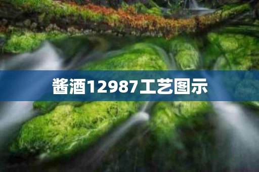 酱酒12987工艺图示