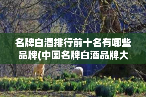 名牌白酒排行前十名有哪些品牌(中国名牌白酒品牌大全)
