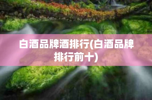 白酒品牌酒排行(白酒品牌排行前十)