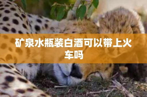 矿泉水瓶装白酒可以带上火车吗