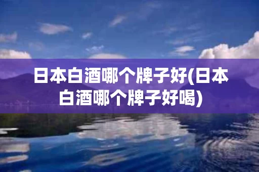日本白酒哪个牌子好(日本白酒哪个牌子好喝)