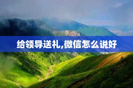 给领导送礼,微信怎么说好