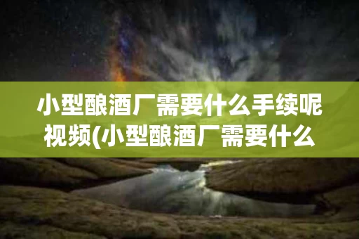 小型酿酒厂需要什么手续呢视频(小型酿酒厂需要什么手续呢视频播放)