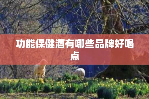 功能保健酒有哪些品牌好喝点