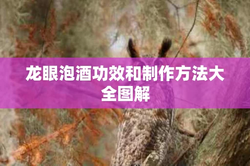 龙眼泡酒功效和制作方法大全图解