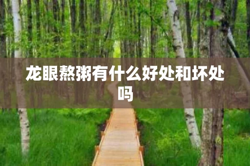 龙眼熬粥有什么好处和坏处吗