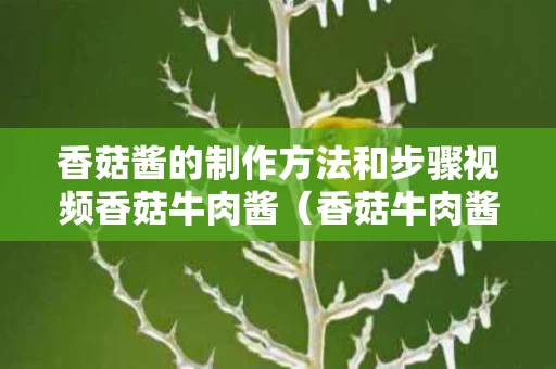 香菇酱的制作方法和步骤视频香菇牛肉酱（香菇牛肉酱怎么做发个视频讲一下）