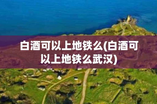 白酒可以上地铁么(白酒可以上地铁么武汉)