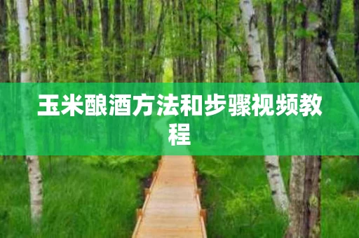 玉米酿酒方法和步骤视频教程