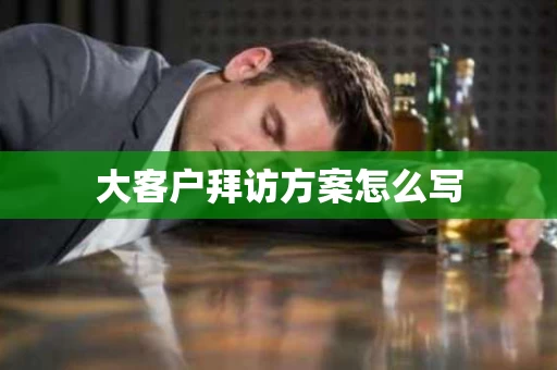 大客户拜访方案怎么写