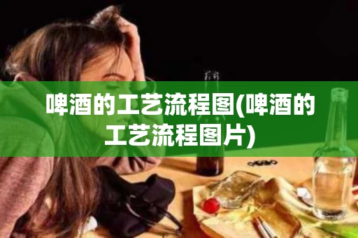 啤酒的工艺流程图(啤酒的工艺流程图片)