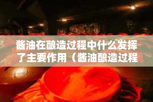酱油在酿造过程中什么发挥了主要作用（酱油酿造过程中应注意哪些问题）