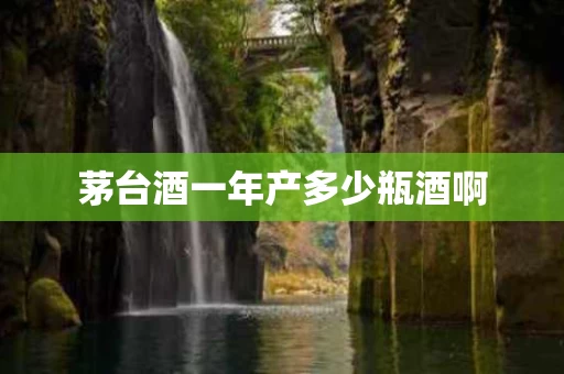 茅台酒一年产多少瓶酒啊