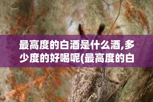 最高度的白酒是什么酒,多少度的好喝呢(最高度的白酒是什么酒,多少度的好喝呢)