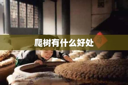 爬树有什么好处