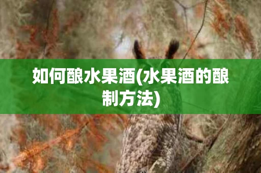 如何酿水果酒(水果酒的酿制方法)