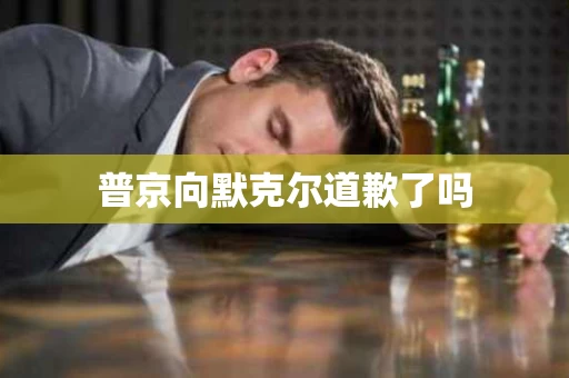 普京向默克尔道歉了吗