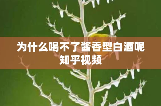 为什么喝不了酱香型白酒呢知乎视频