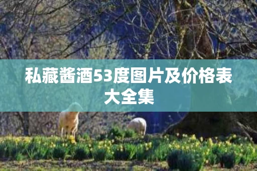 私藏酱酒53度图片及价格表大全集