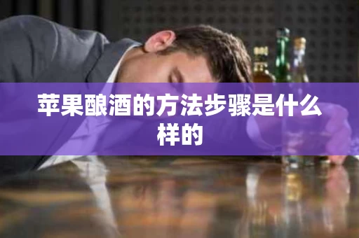 苹果酿酒的方法步骤是什么样的