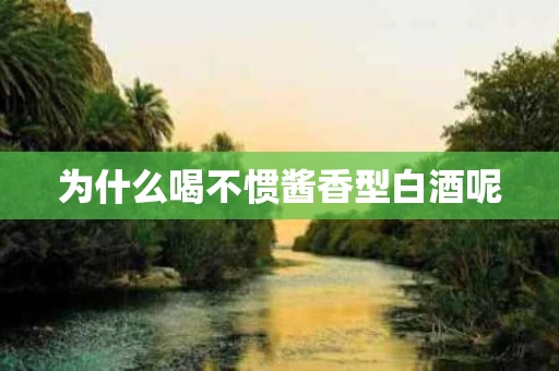 为什么喝不惯酱香型白酒呢