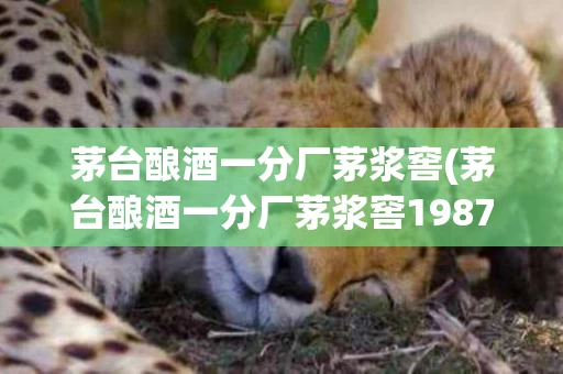 茅台酿酒一分厂茅浆窖(茅台酿酒一分厂茅浆窖1987什么价位)