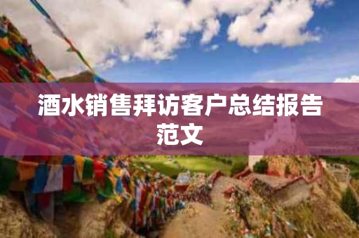 酒水销售拜访客户总结报告范文