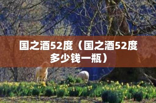 国之酒52度（国之酒52度多少钱一瓶）
