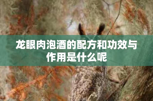 龙眼肉泡酒的配方和功效与作用是什么呢