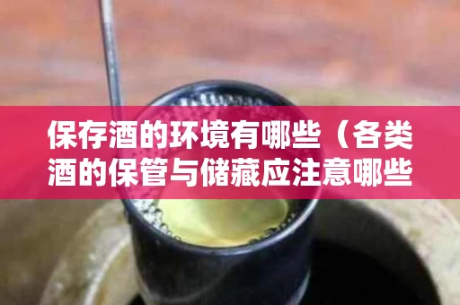 保存酒的环境有哪些（各类酒的保管与储藏应注意哪些方面）