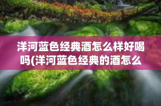 洋河蓝色经典酒怎么样好喝吗(洋河蓝色经典的酒怎么样)