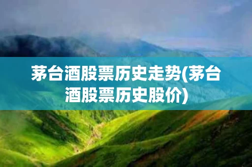 茅台酒股票历史走势(茅台酒股票历史股价)