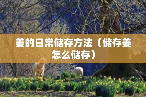 姜的日常储存方法（储存姜怎么储存）