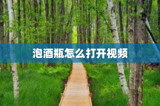 泡酒瓶怎么打开视频