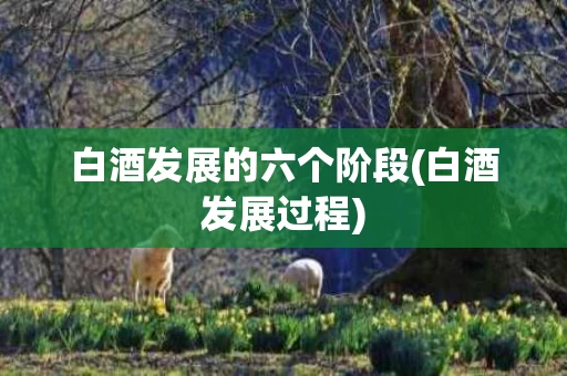 白酒发展的六个阶段(白酒发展过程)