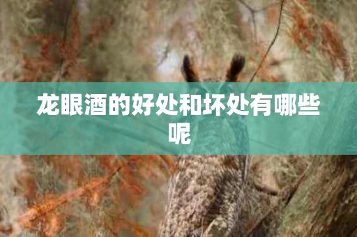 龙眼酒的好处和坏处有哪些呢