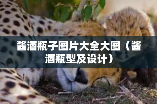 酱酒瓶子图片大全大图（酱酒瓶型及设计）