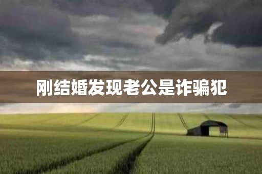 刚结婚发现老公是诈骗犯