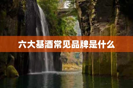 六大基酒常见品牌是什么