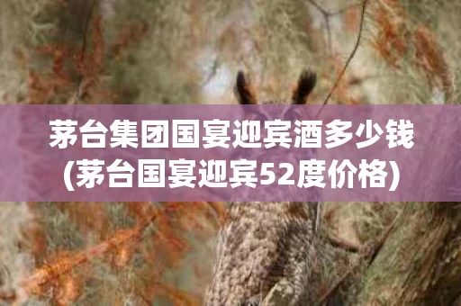 茅台集团国宴迎宾酒多少钱(茅台国宴迎宾52度价格)
