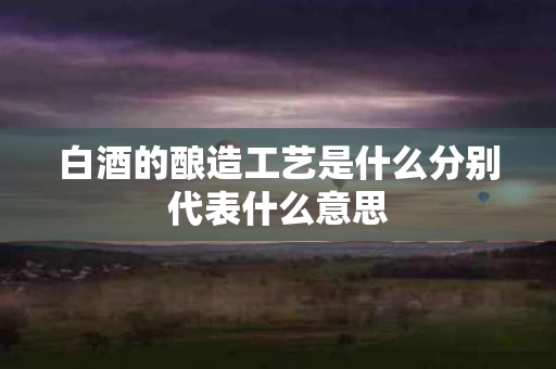 白酒的酿造工艺是什么分别代表什么意思