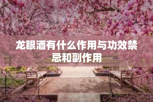 龙眼酒有什么作用与功效禁忌和副作用