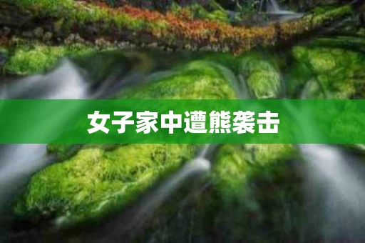 女子家中遭熊袭击