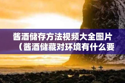 酱酒储存方法视频大全图片（酱酒储藏对环境有什么要求）