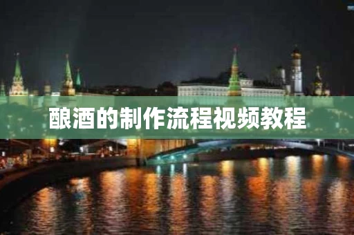 酿酒的制作流程视频教程