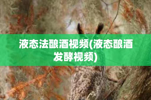 液态法酿酒视频(液态酿酒发酵视频)