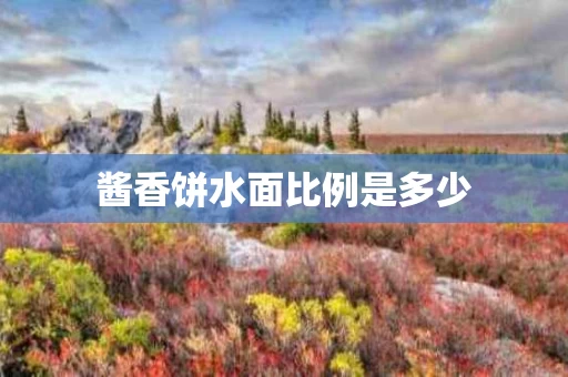 酱香饼水面比例是多少