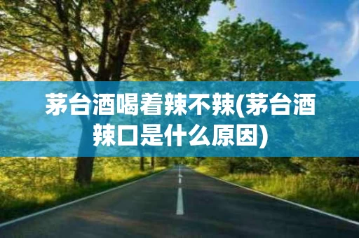 茅台酒喝着辣不辣(茅台酒辣口是什么原因)
