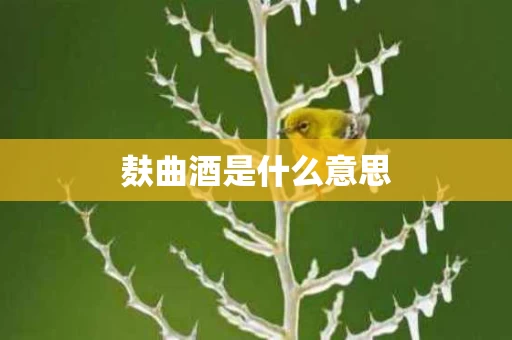 麸曲酒是什么意思