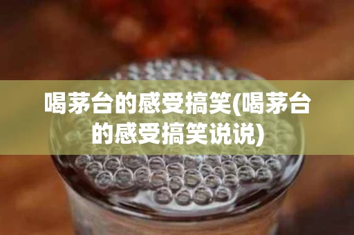喝茅台的感受搞笑(喝茅台的感受搞笑说说)